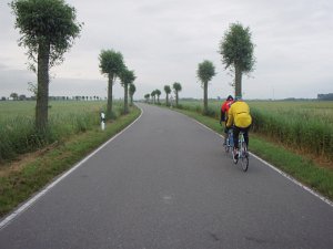 Mitternacht-Radmarathon 273